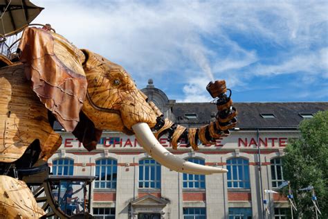 Rencontrez des femmes cougar à Nantes — Les meilleurs endroits